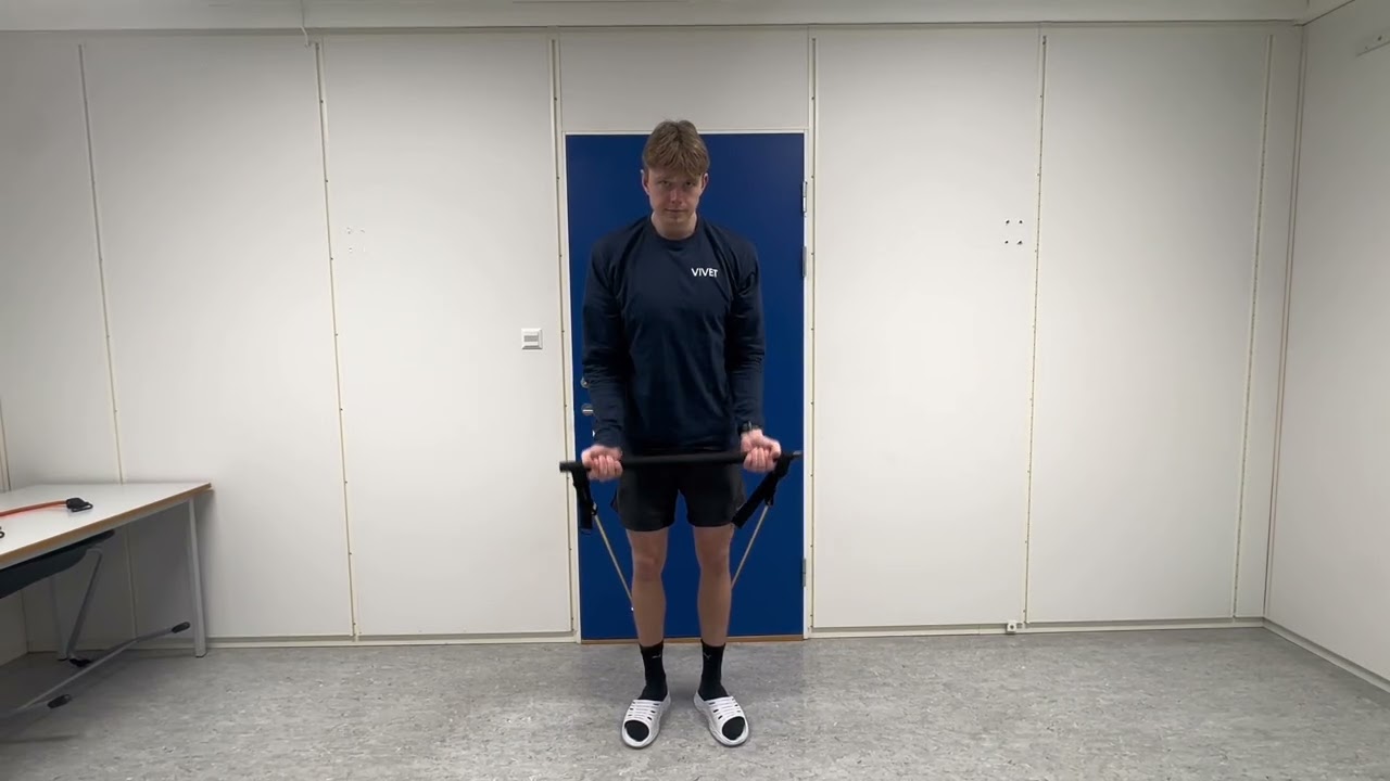 Biceps curl with bar with Vimor Strength Kit by Vivet