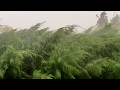 காற்றில் சுழன்ற சவுக்கு! #heavyrain #cyclone #Ditwah