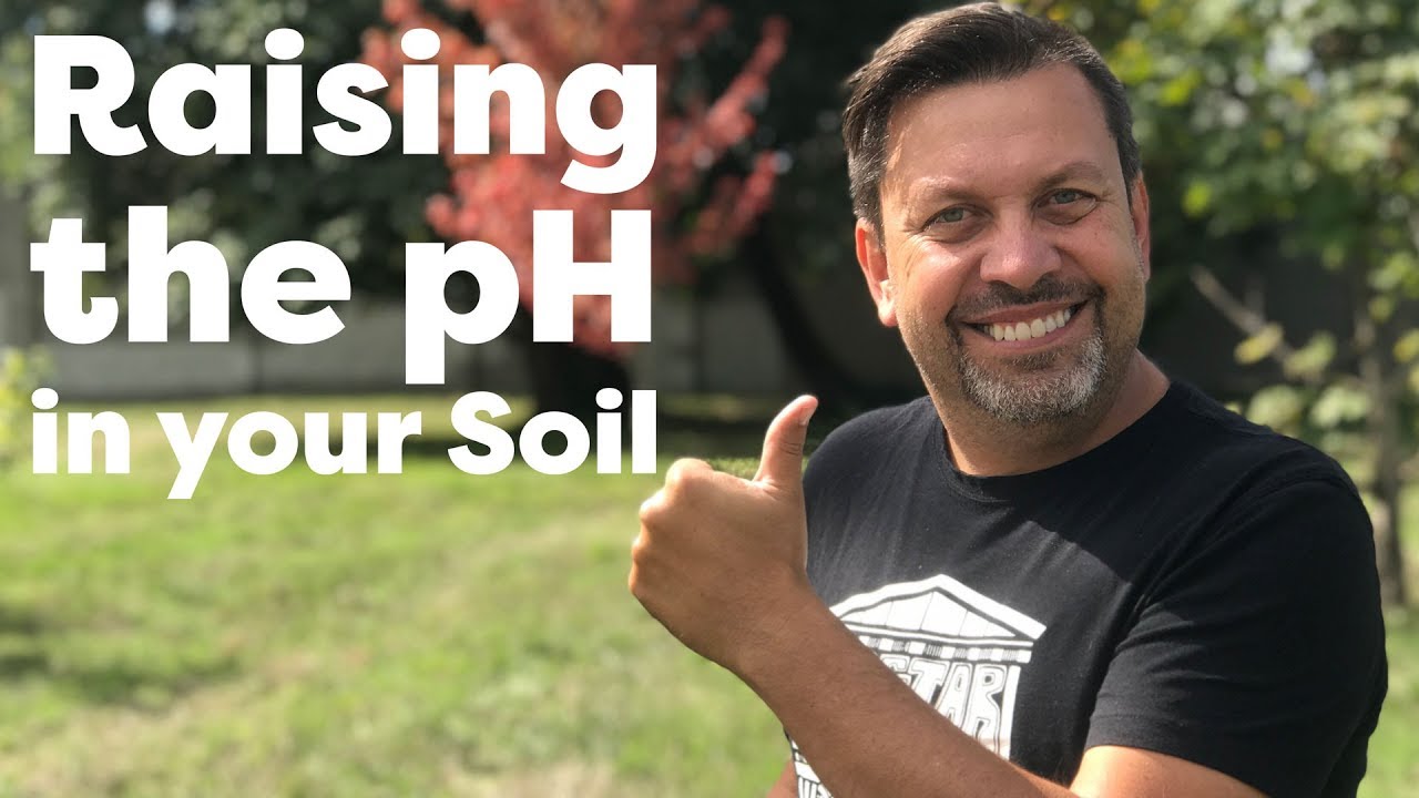 Raising pH in your soil with Nectar for the Gods | OCGFAM507 