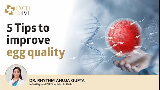 5 Tips to improve egg quality | Dr Rhythm Gupta - Infertility and IVF specialist at Excel IVF