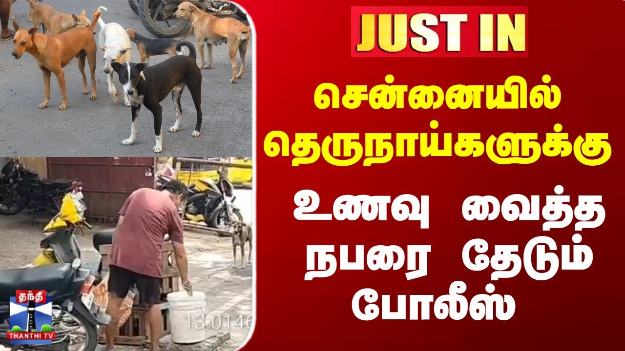 Dog | Street Food | Street Dogs | தெரு நாய்களுக்கு உணவு வைத்தவர் மீது புகார்