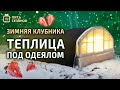 ЗИМНЯЯ КЛУБНИКА В ТОМСКЕ // ТЕПЛИЦА ПОД ОДЕЯЛОМ