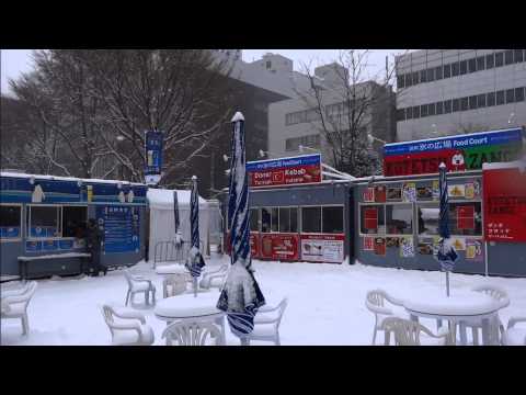 2014 さっぽろ雪まつり 北海道新聞 氷の広場 大通2丁目会場 65th Sapporo Snow Festival