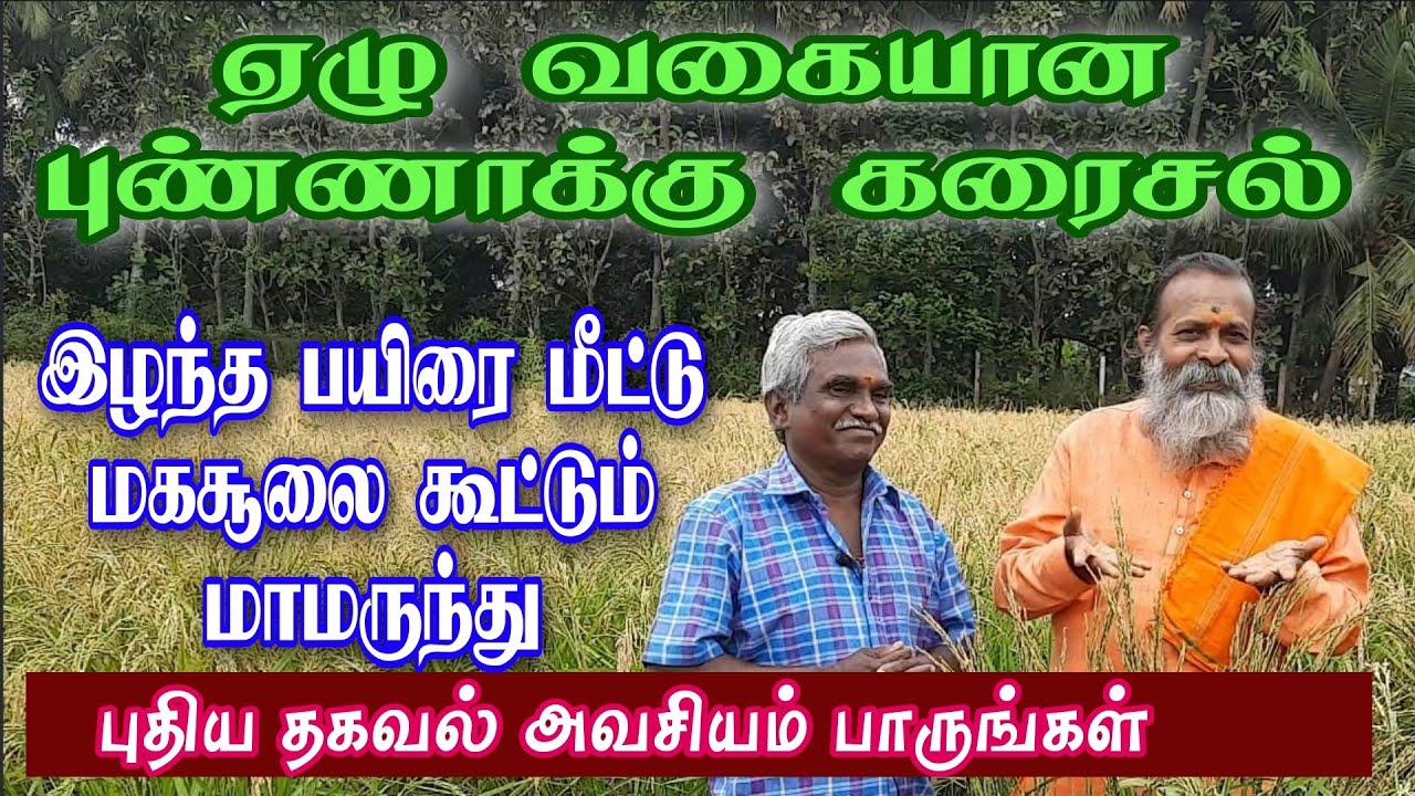 ஏழு வகையான புண்ணாக்கு கரைசல் இயற்கை விவசாயத்தில் புதிய தொழில் நுட்பம்