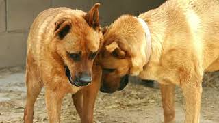 Timy und Trixi im Mai 2026
