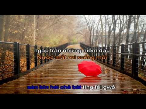 Cuộc Tình Trong Cơn Mưa | 雨中的恋人们 - Hoàng Khải Cần 黄凯芹