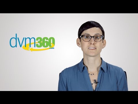 Video: Vir assessering van vetsug?