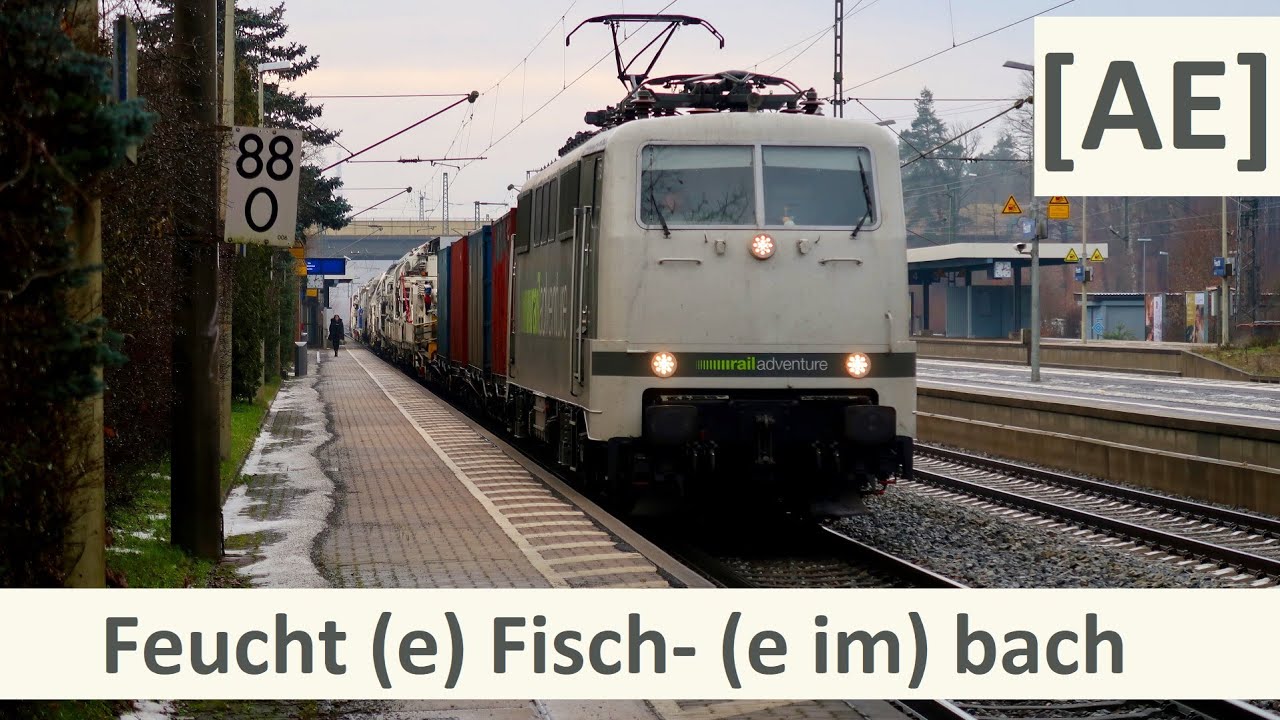 Feucht(e)🐠Fisch- (e im) bach 😉  |  21.Dezember 2022  |  Alex E