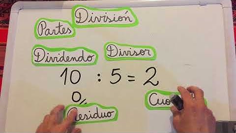 División 5° básico
