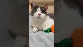 Famous She doesn’t look away… but she drifts for a moment. Wealth