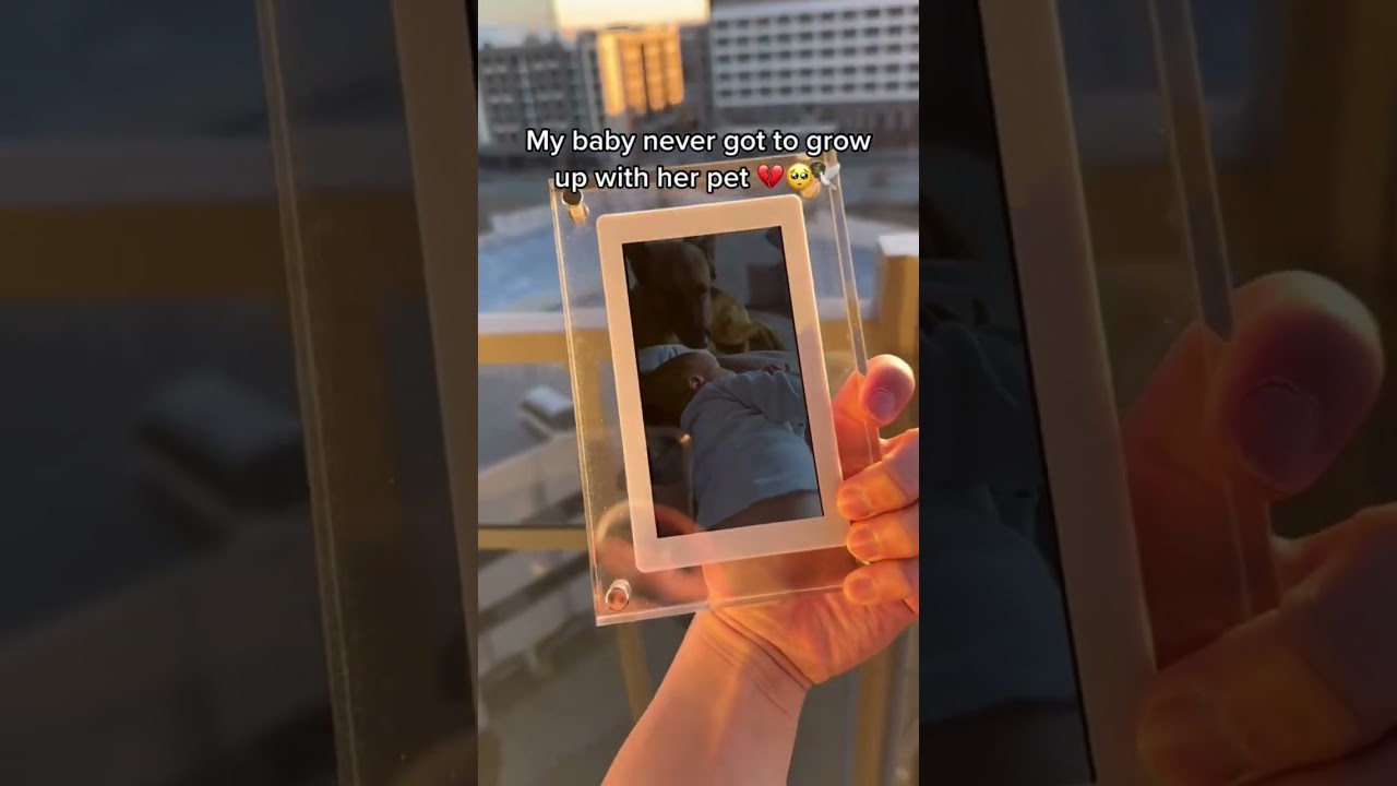 This is so heartbreaking. ❤️‍🩹🥹