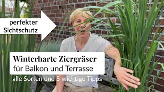 Nutze Winterharte Gräser Wie Pampasgras Co Auf Deinem Balkon Als Ziergras Oder Sichtschutz-5 Tipps