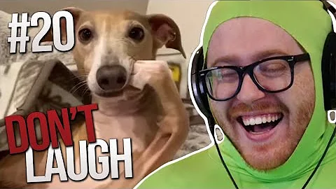 Everytime I laugh I lose money #20