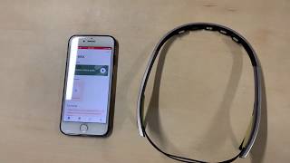 Flowtime Demo Profile