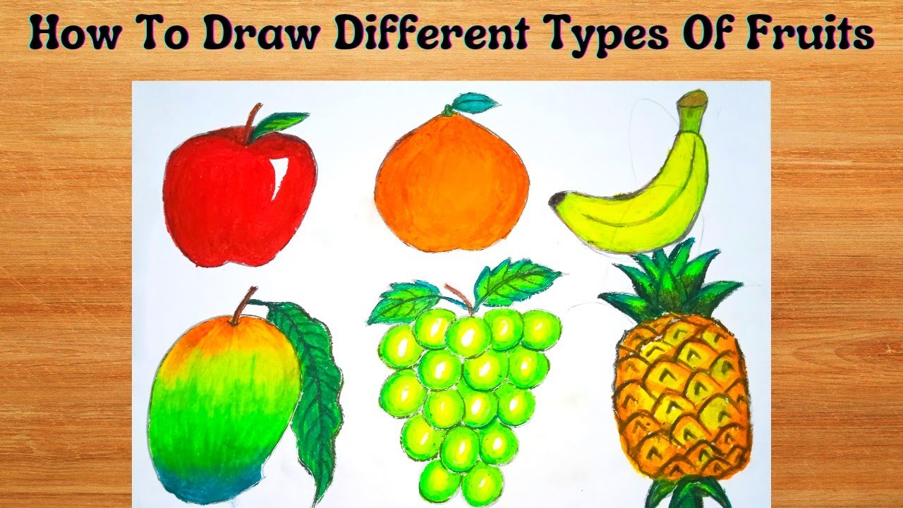 Drawing of various fruits Royalty Free Vector Image