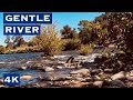 4K Calm River Flowing - California Nature Video