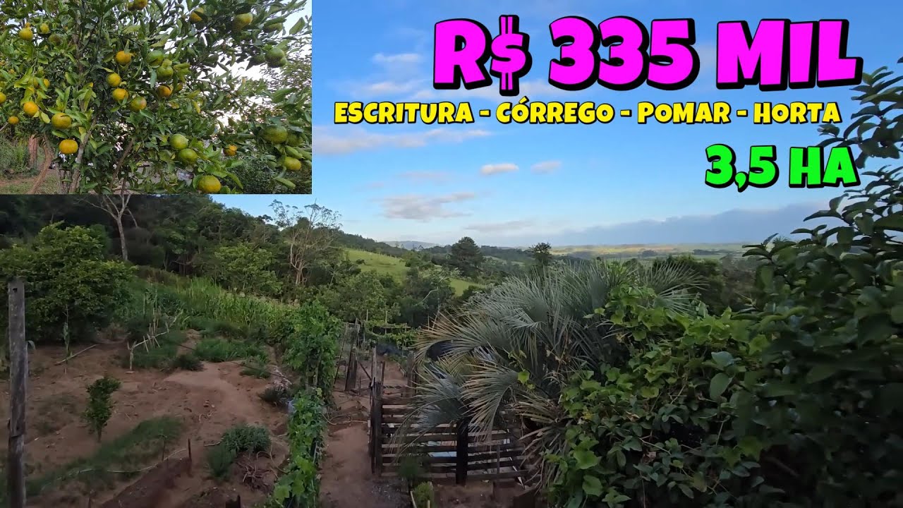 [687] CHÁCARA EM GLORINHA 3,5HA ESCRITURA CASA POMAR HORTA GALPÃO VERTENTE E CÓRREGO R$ 335 MIL