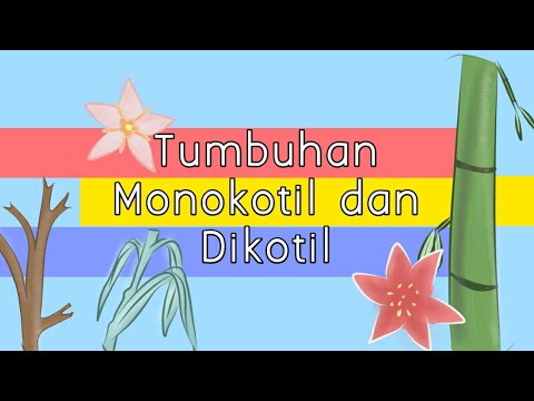 Video: Apakah tumbuhan liar termasuk tumbuhan monokotil atau dikotil?