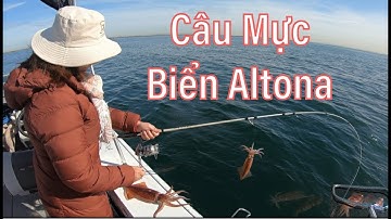 Câu Được Mực Tươi Làm món Ăn Liền#freshsquidfishing