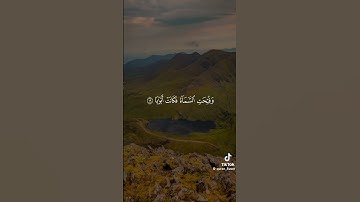 تلاوة عطرة من سورة النبأ