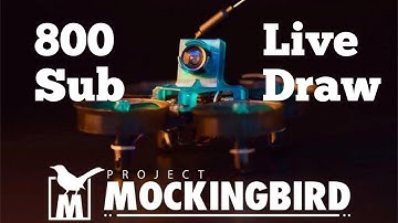 NBD Hummingbird Project Mockingbird Edition Live Drawing