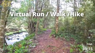 Virtual Run | Virtual Running Videos Treadmill Workout Scenery | Catlins River Track Run Walk Hike