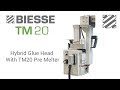 Biesse  hybrid glue head with tm20 pre melter