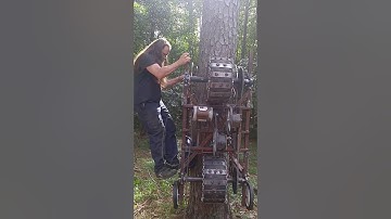 Tree climbing robot