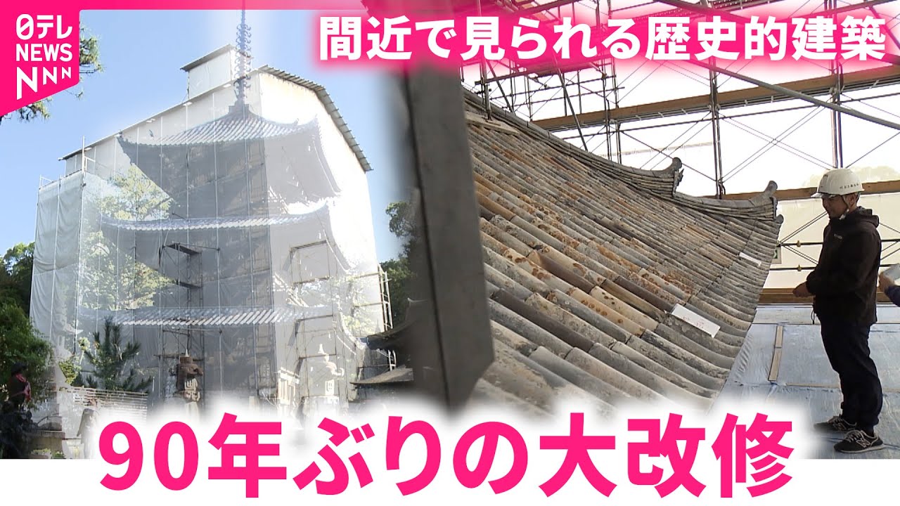 【激レア】平安時代の瓦も！松山の石手寺 改修で間近に見られる歴史的建築　愛媛　NNNセレクション