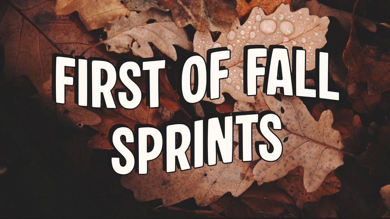 I better finish editing this 'The Will of the Many' vlog before these sprints end or istg 🤛