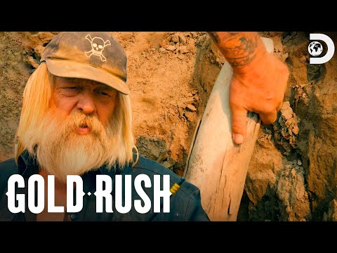 Tony Beets Finds a Mammoth Tusk! | Gold Rush