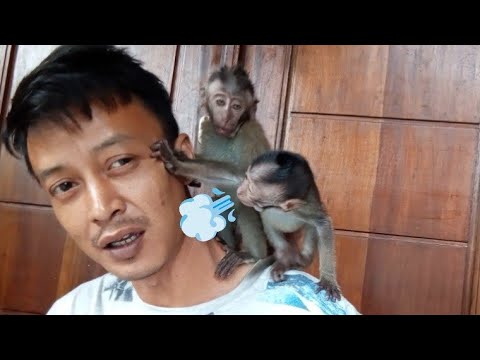 презентация my house 3 класс. This case very heavy. It is very comfortable. It is very comfortable. My flat текст.