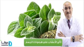 الاشواجندا وحبة البركة والبردقوش وتأثير هذه الأعشاب على هرمونات الجسم