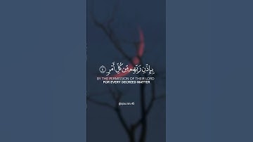﴿إنا أنزلناه في ليلة القدر...﴾ تلاوة خاشعة للقارئ الشيخ ياسر الدوسري 🌘