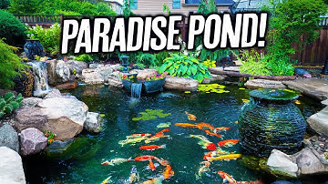 Backyard Corner Koi Pond Oasis