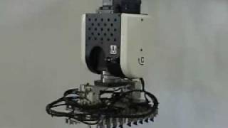 Wittmann robot.wmv