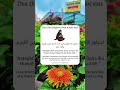 Dua That Forgives Even Major Sins рџ ІрџЏ Dua That Forgives Even Major Sins рџ ІрџЏ