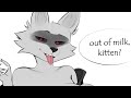 Out of milk kitten...?
