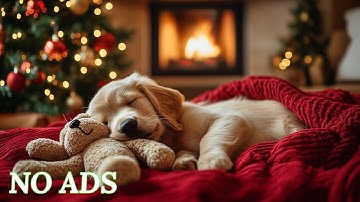 12-Hours of Healing Dog Music 🐶💖 Anti-Separation Anxiety Relief Music 🎵🐶Deep Sleep🎵💖 Pet Music