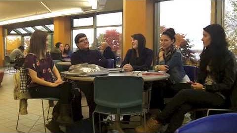 Spiral of Silence Theory - MSVU Communications Theory & Practice