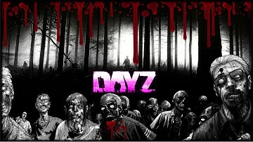 DayZ - How To Maximize and Fix Frame Rate Lag on Arma 2 and Day Z Mod