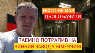 картинка: Що приховують німецькі винороби?!Я ЛЕДВЕ ВИЖИВ ПІСЛЯ ЦЬОГО!