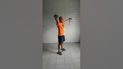 ELEVAÇÃO LATERAL EXTENSOR