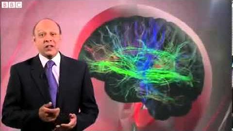 BBC News  Brain scan study to understand workings of teenage mind