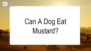 Can A Dog Eat Mustard Is Mustard Poisonous For Dogs