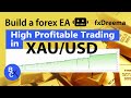 How to build ea without programming  high profitable trading in xauusd grid scalping buy only