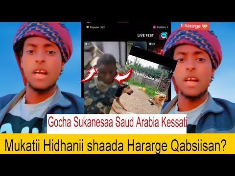 Mukattii Hidhanii Shaada Hararge Qabsiisan Gocha Fokkota Saud Arabia Kessati Hararge Fi Arsi F24