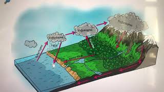 Gülseven Hoca Ile Ekosistem Ve Madde Döngüsü -2-