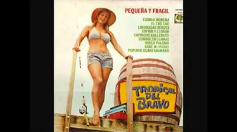 2013/6/8 1:54 PM TROPICAL DEL BRAVO PEQUENA Y FRAGIL LP COM(1) 2013/6/8 1:54 PM TROPICAL DEL BRAVO PEQUENA Y FRAGIL LP COM(1)
