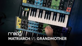 Moog Matriarch vs Moog Grandmother — Daniel Fisher